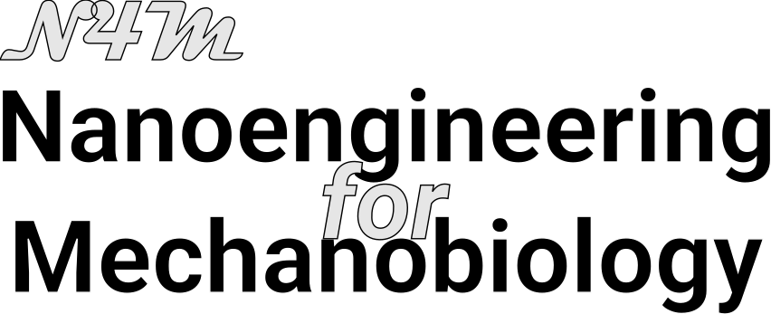 Nanoengineering for Mechanobiology